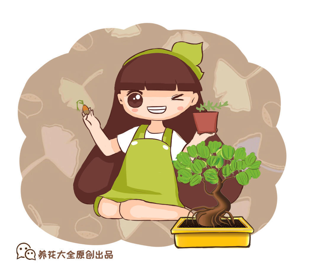 就可以|院子种树有讲究,栽这几种树,福气运气双收获