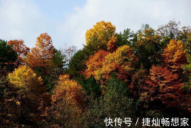 秋天|秋意正浓打卡李家，红叶不仅层林尽染，还是旅行达人的拍照最佳地