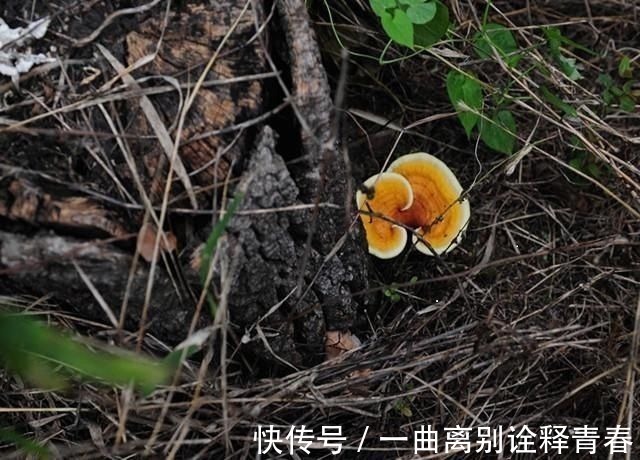 转移|51岁癌症晚期,曾3次复发转移,10年后依然康健,她总结出1句感悟