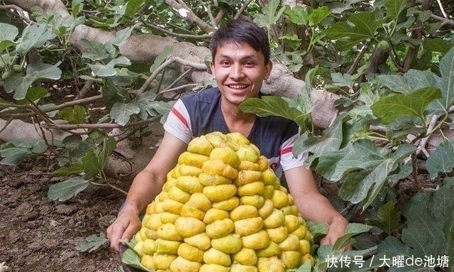 野生|男人就算再没有钱，天冷后尽量多吃这些食物，营养远超牛羊肉