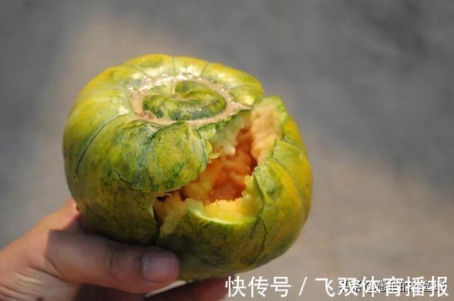 水煎包|徐州人,哪怕你在外混得再好,看到老家的这些,还不是照样流口水
