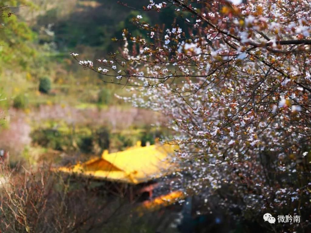 太美了！都匀藏着个世外桃源，已美成仙境！你还不来？