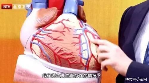 血脂过高|血脂过高不仅会诱发心脑血管疾病，还会损害内脏功能