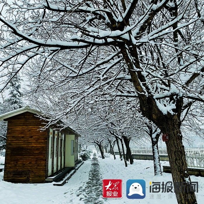 周琛|美景待新春 大雪后的菏泽曹州牡丹园