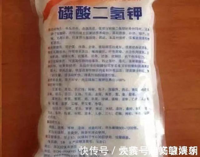 花卉|3个养花“小技巧”，越早知道越好！养花百分百成活，1分钟学会