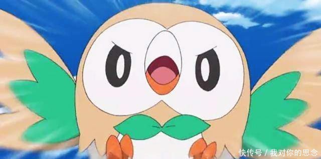 神奇|神奇宝贝超稀有宝可梦,画皮特性木木枭,小智离冠军最近的一次