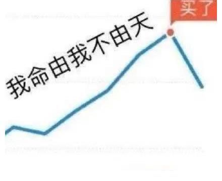 裙子|困在闲鱼的韭菜们