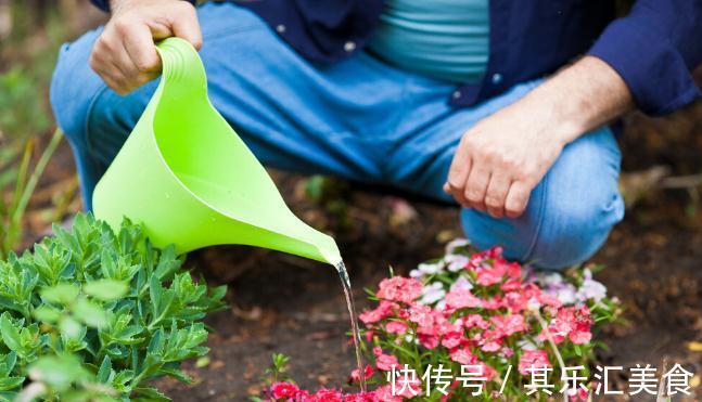 换季期间,给花草浇点“防冻水”,天冷不怕冻死,来年还能长势好