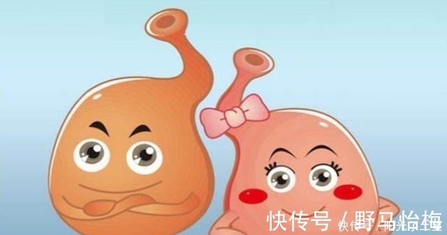 腹泻|胃不好的人,常吃这几种养胃水果,为了自己的胃部健康,了解一下