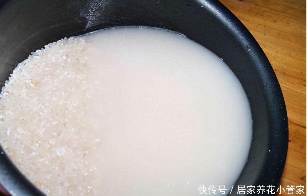 养花达人必用4种水,用完叶子油亮,不用施肥