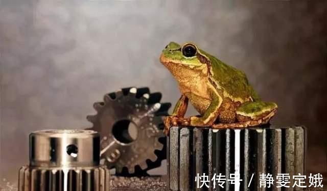 超写实主义!他画了一条金鱼,放大5倍后,网友大呼:相机可以扔了