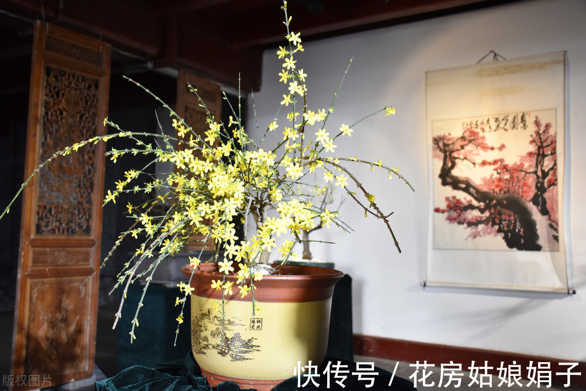 植物|别再为浇水发愁了,给你支招“10多10少”浇水法,比啥方法多管用