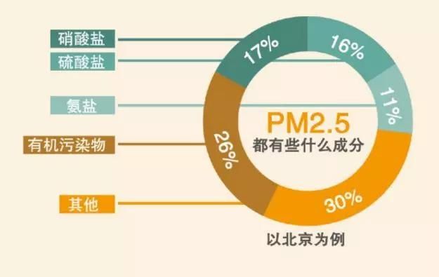 污染物|一到雾霾天，肺就像“空气净化器”？专家教你八招“屏蔽”雾霾