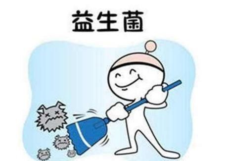 消化道的健康卫士―益生菌