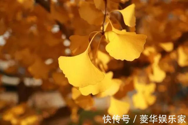 虚情假意|人到50，如果不在四个方面“心狠”一点，难免晚境凄凉