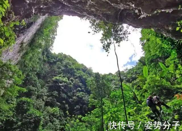 灭绝|消失超100年，竹生羊奶子和异叶苣苔被重新发现，云南蒙自真神奇