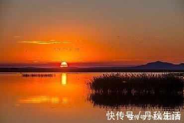 唐明皇$纳兰性德最感人的一首词,不知温柔了多少人的时光