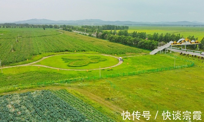 草甸|张家口沽源有一处五花草甸，盛夏金莲花开，充满了温馨浪漫