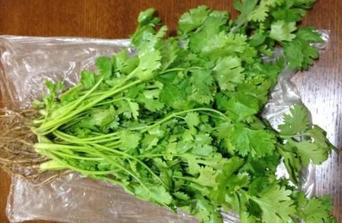  保存香菜|吃不完的香菜别直接放冰箱，教你一招，放半个月也不打蔫不发黄