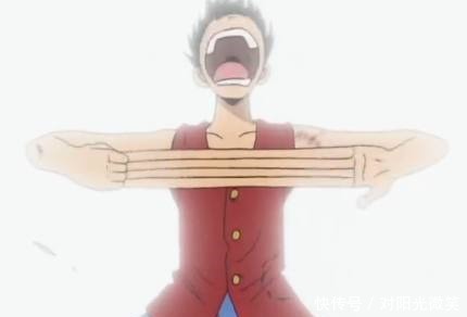 肉盾|海贼王最奇葩的六种肉盾,一个用毛发挡,最后一个居然用手指挡