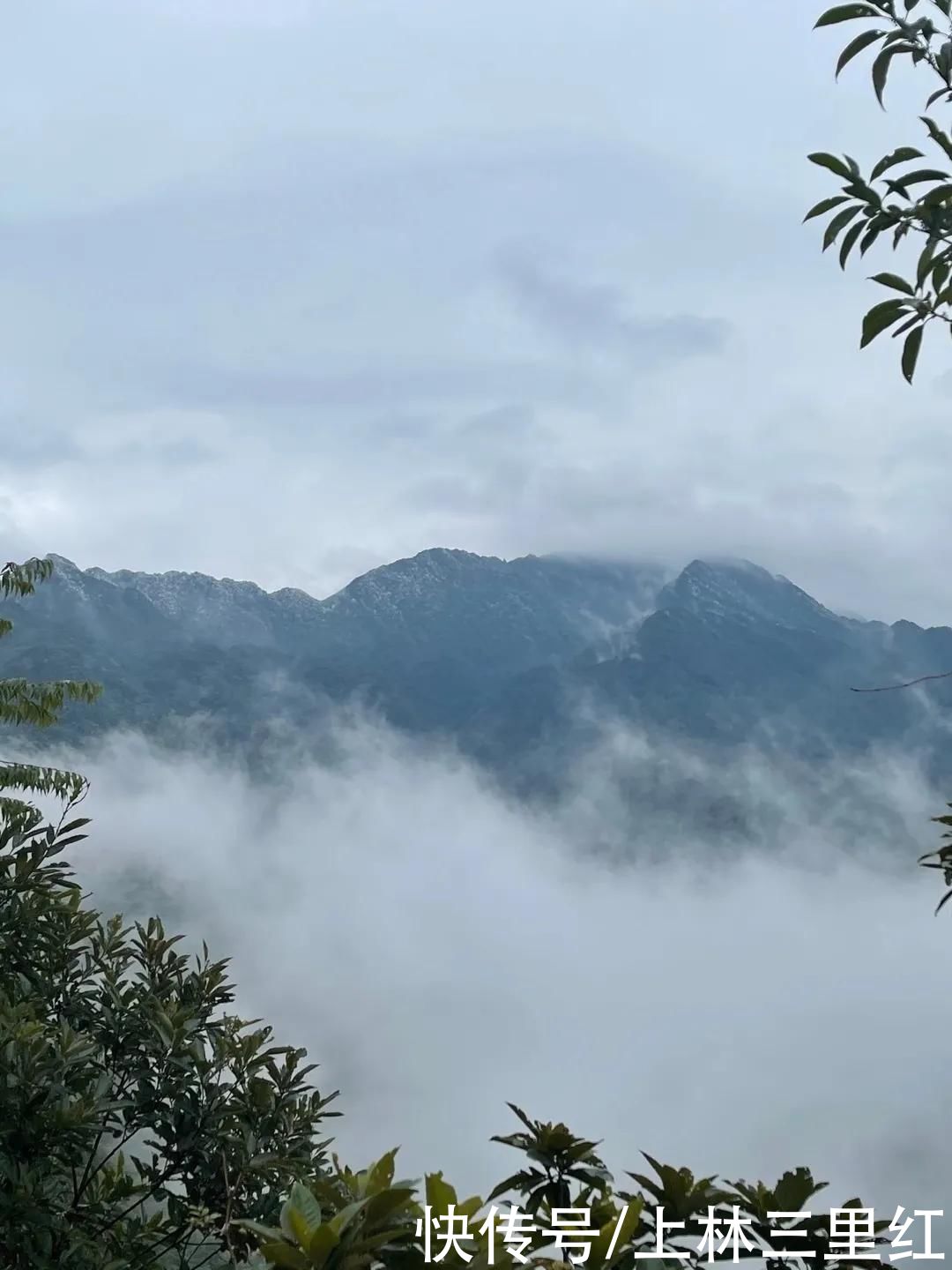 民宿在上林大明山花似锦，俱是看花人，马槽庄民宿处处是观景台