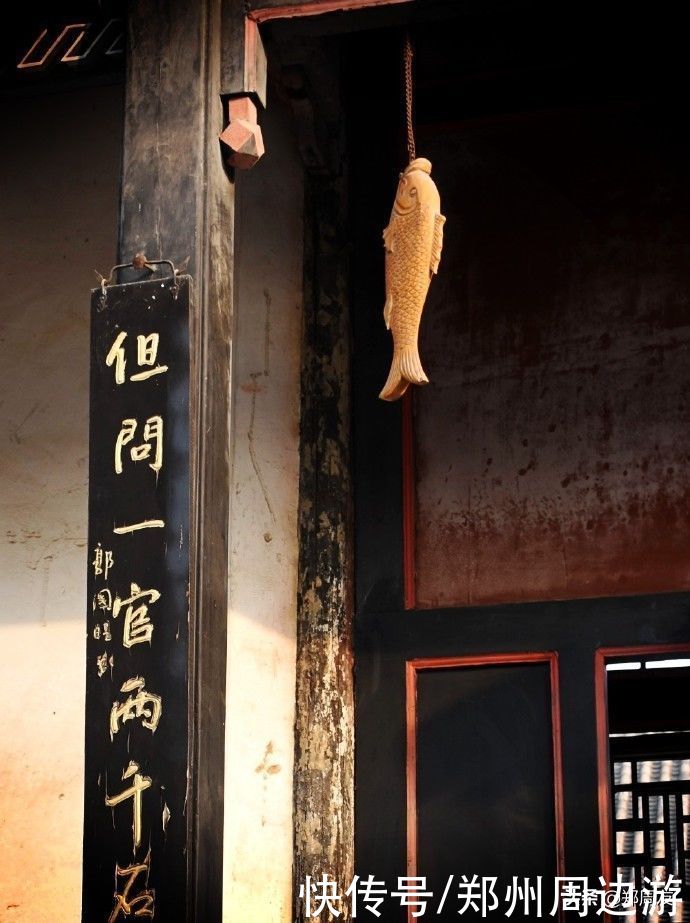 中年|蜡梅，南阳府衙最美的遇见