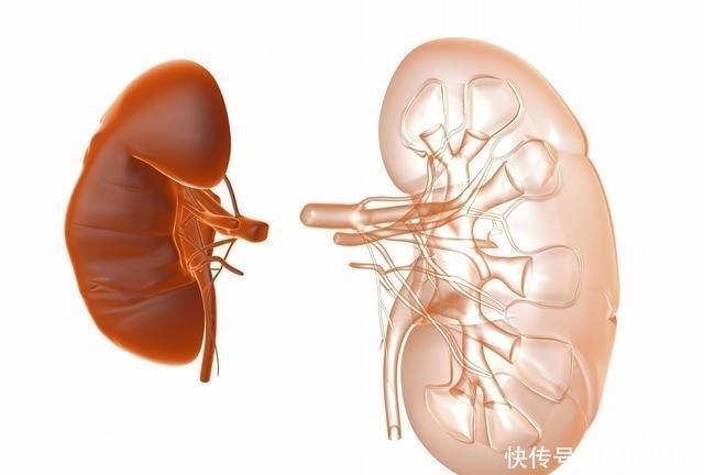 脚后跟|肾好不好要看脚,脚上若没有出现这3种情况,说明你的肾很健康!