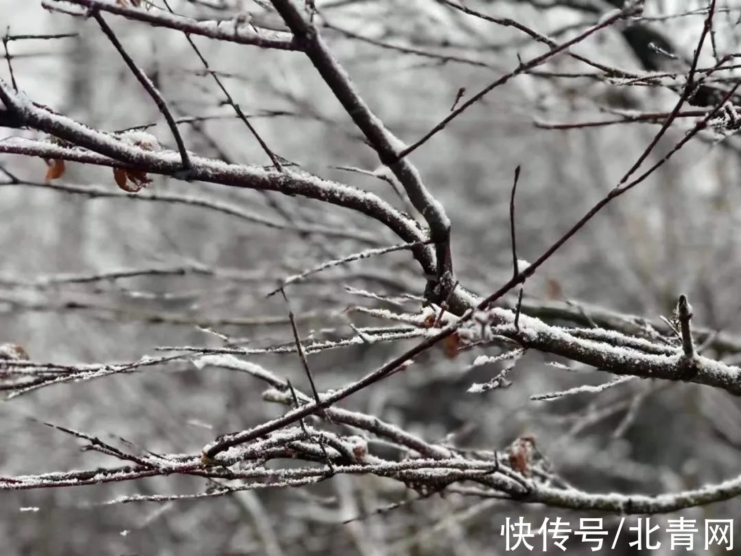 云海|太美了！台州最新雪景！括苍山跌至-10℃，再现云海奇观