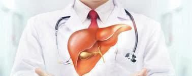 养肝护肝|肝不好的人, 经常用“它”泡水喝, 能修复肝细胞, 肝脏更健康