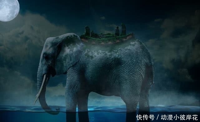 世界级|海贼王:官方公布10个世界级称号,黄猿在速度上竟然排不了第一