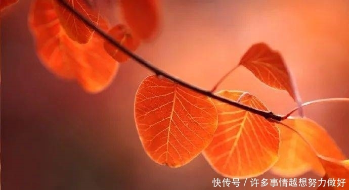 人生,没有下辈子