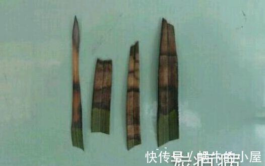 休眠|8种“漂亮花”，就怕暴雨天，淋雨就烂，赶紧搬到屋里去