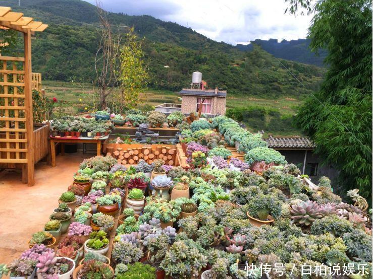 女婿在楼顶养多肉,村里人都跑来参观,丈母娘高兴坏了!