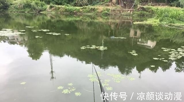 天冷钓鲫鱼,线组要用多细才有口?很多人其实都搞错了!