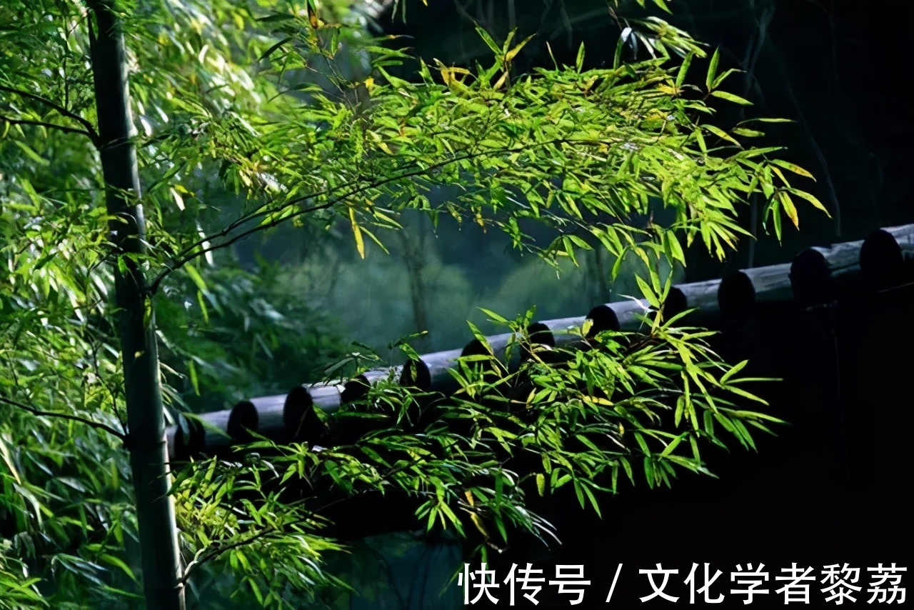 月白&月白色的姑娘