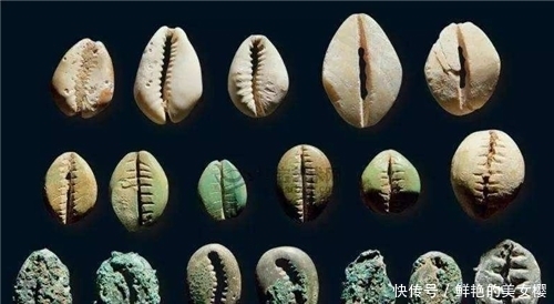 原因|商代用贝壳做货币,为何穷人不多捡一点让自己的致富?原因太真实