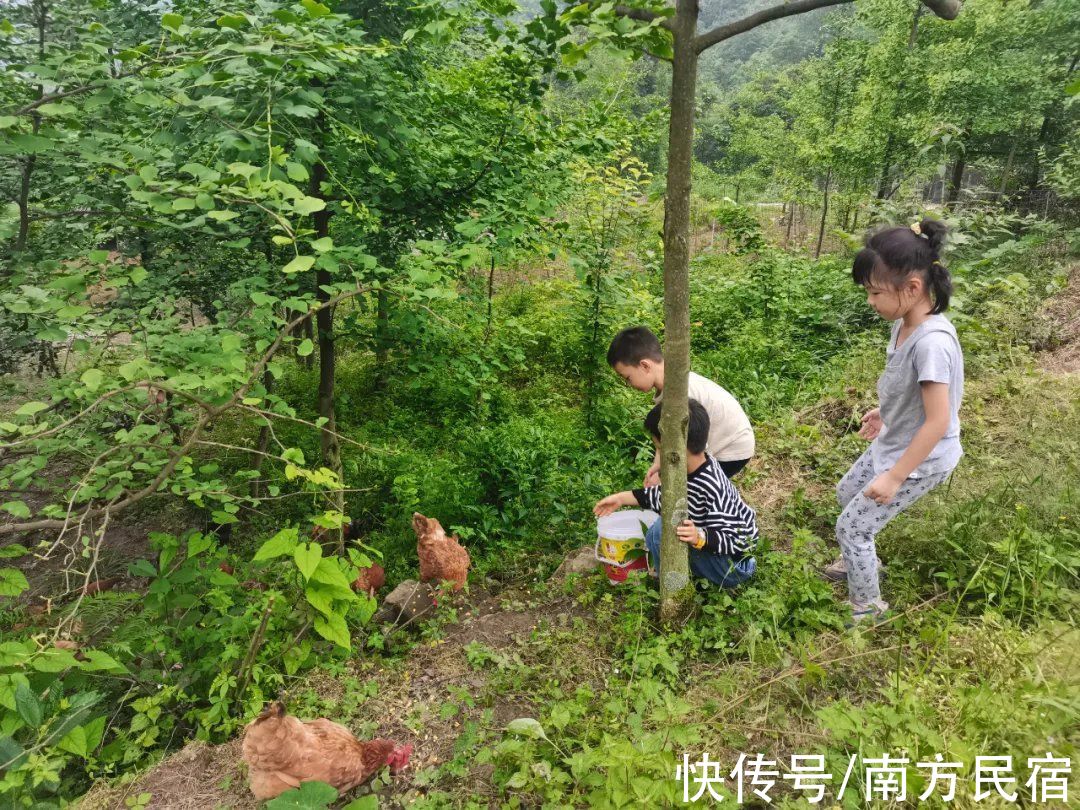 民宿|成都自驾2h，都江堰白云深处的民宿，泡汤、看萤火虫丨瞰山别院