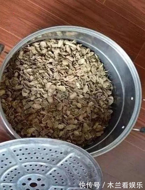 花盆|这2种“东西”丢掉可惜,掺在盆土里,养啥都旺!