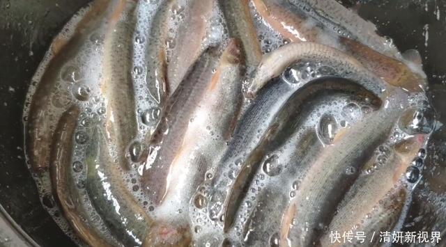 汤汁|大厨透露红烧泥鳅的做法,皮酥肉嫩超入味,上桌连汤汁都不剩