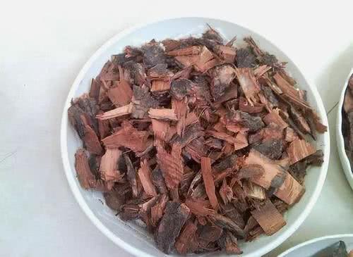 芦荟、虎皮兰长得慢就浇“1种水”，不施肥，也长满一圈小芽芽