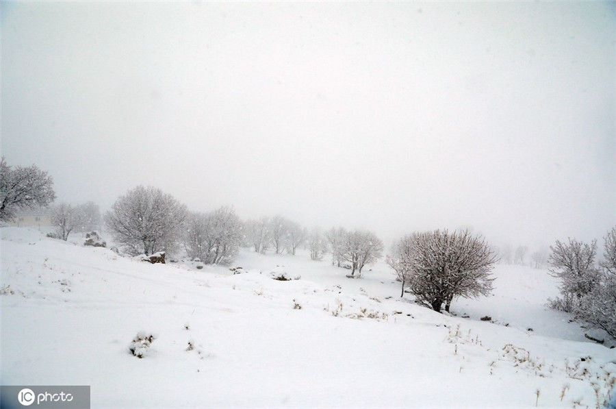 埃尔比勒#伊拉克埃尔比勒迎来降雪 银装素裹宛若仙境