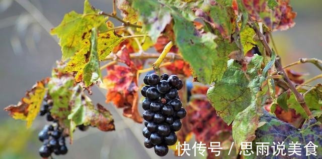 猕猴桃|血脂高的人夏天不能吃葡萄,想降脂的人,4种水果或可放心吃