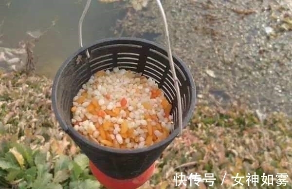 告别一学就会一开就废,只要掌握这几点,小白开出的饵料也能连杆