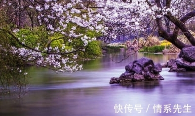 禅诗#王安石的两首禅诗,心无牵挂,更彰显了隐居生活的洒脱和从容