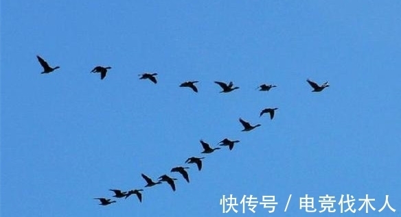 王淑文#王安石七律名作,留一千古名句:草草杯盘共笑语,昏昏灯火话平生