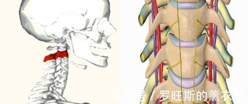 颈椎|头晕头痛?脖子酸痛?手麻?颈椎病这个“流行”病要注意