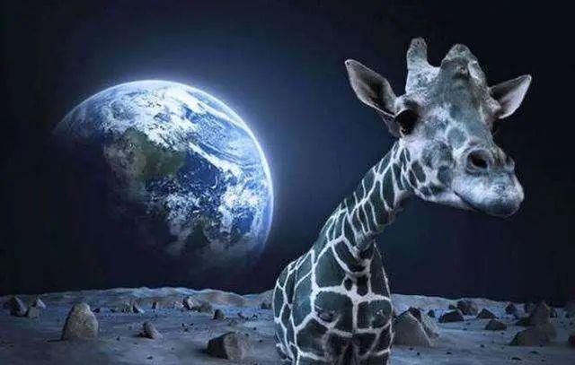 记载 太阳系是“人造”的特斯拉手稿中的记载,你相信吗