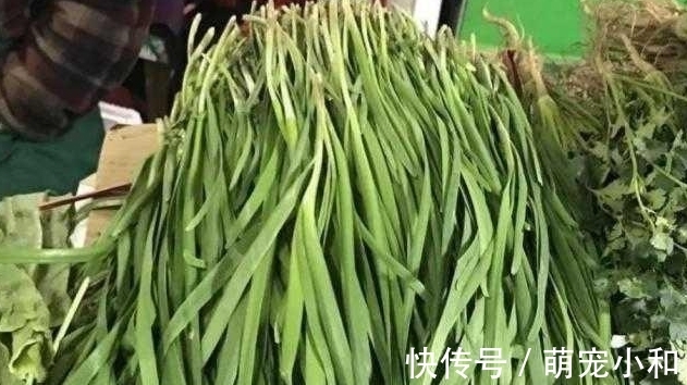 去买菜时遇到这种韭菜，你可不要买，菜摊老板自己都不吃！