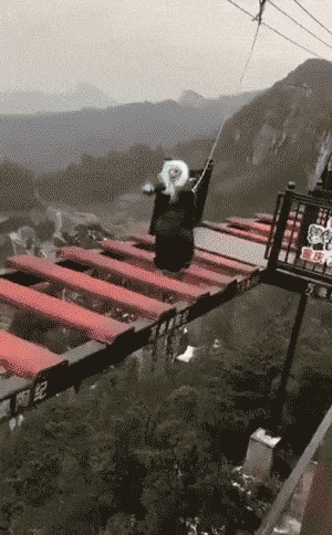 |搞笑GIF趣图:老婆,咋还能生出两个黑的来?你解释一下