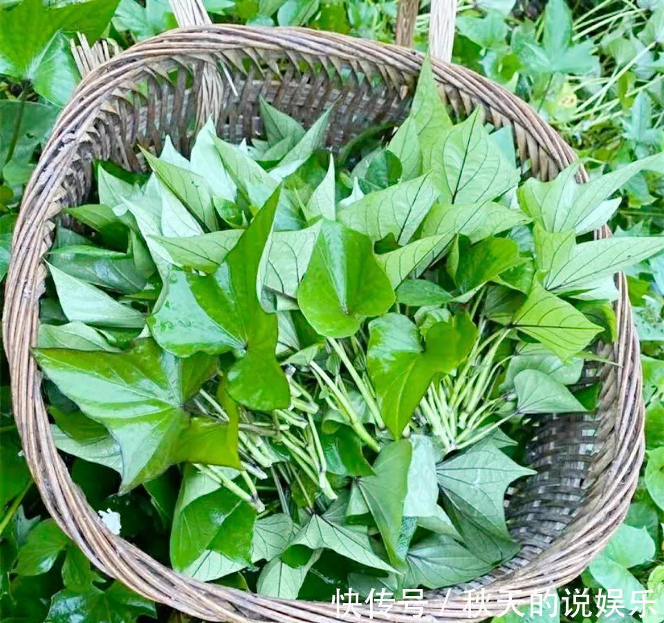 维生素c|秋分过后记得给孩子吃7种“冠军”食物,每一口都是满满的营养